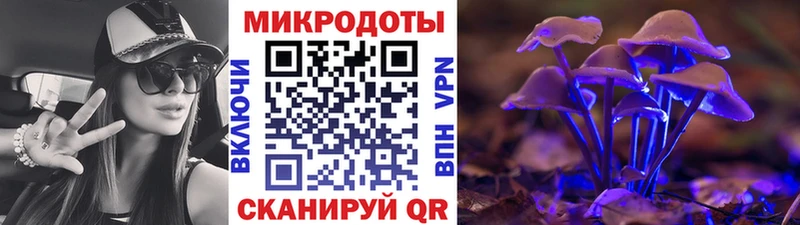 Псилоцибиновые грибы прущие грибы  Приволжск 